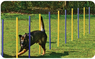 Agility Slalom Stangen Agility Slalom Stangen