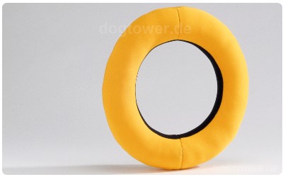 Aqua Toy Ring