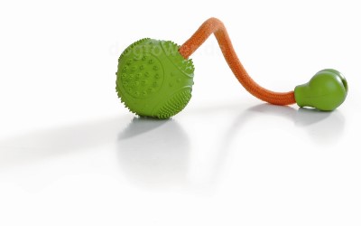 Dental Hundeball mit Seil grün Dental Hundeball mit Seil grün