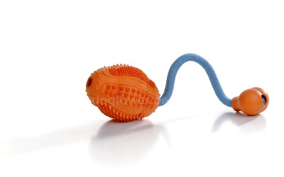 Dental Hundeei mit Seil Dental Hundeei mit Seil