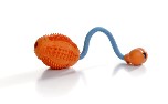 Dental Hundeei mit Seil