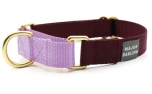 Major Darling Merlot with Lilac Martingale Collar