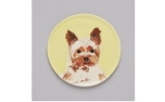 The Painters Wife Yorkshire Terrier Dish
