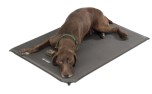 Thermo Hundekissen