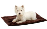 Thermo Top Hundedecke mit W�rme-Reflektion