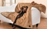 Wende- Hundedecke Queeny Teddy Wende- Hundedecke Queeny Teddy