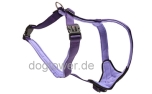 Wolters Professional Comfort Hundegeschirr, brombeer/lavendel