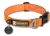 Nylon- Halsband Klickitat