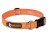 Hundehalsband Headwater Collar