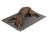 Thermo Hundekissen