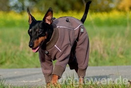 Hurtta Dog Overalls Sale Hurtta Dog Overalls Sale
