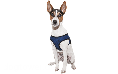 Aqua Coolkeeper Cooling Comfy Hundegeschirr, pacific blau