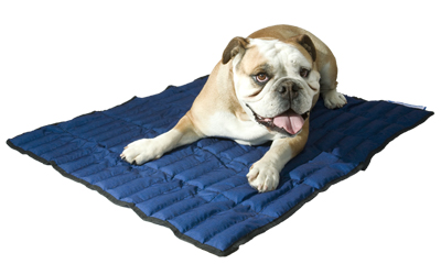 Aqua Coolkeeper Cooling Mat Hundematte, pacific blau