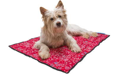 Aqua Coolkeeper Cooling Mat Hundematte, rot