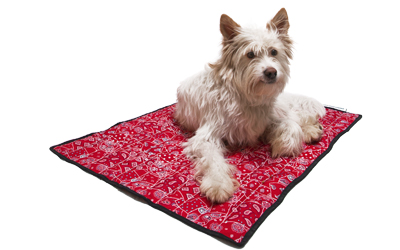 Aqua Coolkeeper Cooling Mat Hundematte, rot