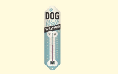 Animal Club Thermometer Dog Walk Weather
