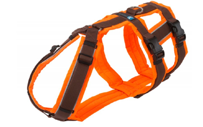 annyX Geschirr Safety, leuchtorange/braun