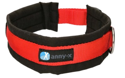 annyX Steckhalsband Fun, schwarz/rot