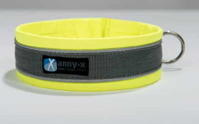 annyX Steckhalsband Protect, leuchtgelb/grau