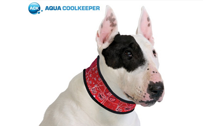 Aqua Coolkeeper Cooling Collar Hundehalsband, red western