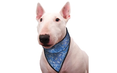 Aqua Coolkeeper Cooling Hunde Bandana, blue western