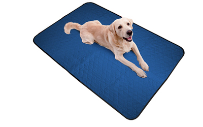 Aqua Coolkeeper Cooling Pet Pad/Blanket Hundedecke, pacific blue