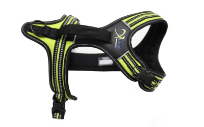 Axaeco 4 Season Power Harness