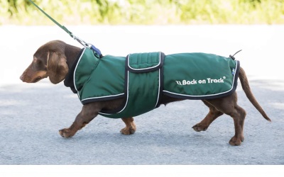 Back on Track Buddy Hundemantel lang grün