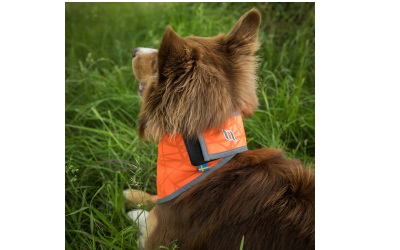 Back on Track Draco Bandana mit Reflektoren orange