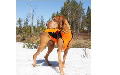 Back on Track Eddie Hundepullover Reflektierend orange