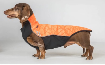 Back on Track Eddie Petite Hundepullover Reflektierend orange