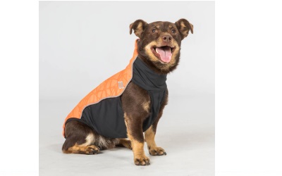 Back on Track Eddie Petite Hundepullover Reflektierend orange