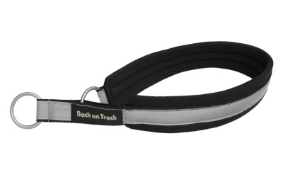 Back on Track Halsband Molly