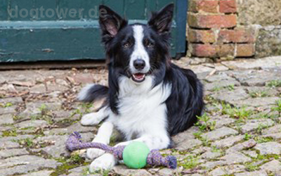 Für Hunde jeder Größe einsetzbar