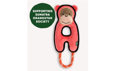 unterstützt die Orangutan Gesellschaft in Sumatra