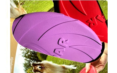 Beeztees Frisbee Dog o Soar