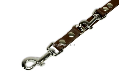 Karabiner der Führleine