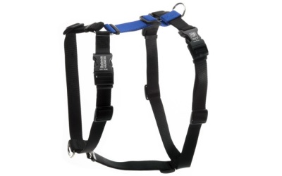 Blue 9 Balance Harness Buckle Neck Blue