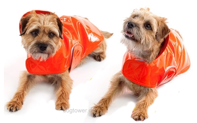 Canine Styles Regenjacke Classic, orange