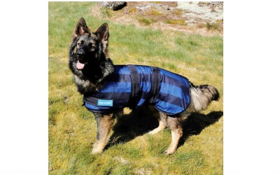 Cool on Track Cooling Dog Coat kühlender Hundemantel, blau