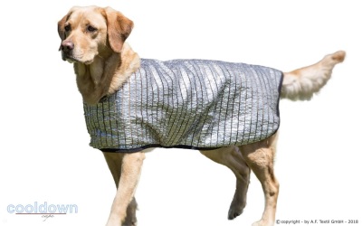 Cooldown Cape Hundemantel mit 85% Sonnenreflektion