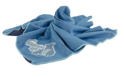 CoolPets Bandana kühlendes Hundehalstuch