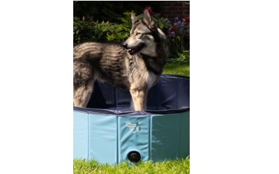 CoolPets Splash Dog Pool