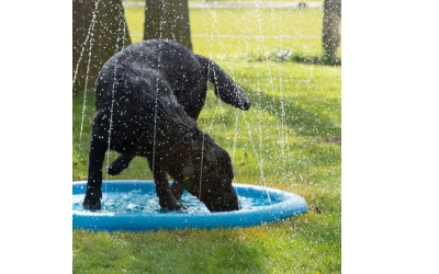 CoolPets Splash Pool Sprühgerät