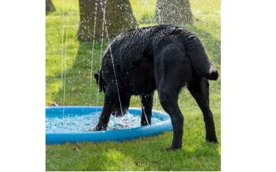 CoolPets Splash Pool Sprühgerät