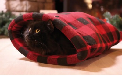 Croci Self-Heating Pet Blanket Scottish