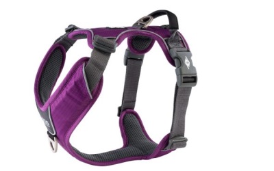 Dog Copenhagen V2 Comfort Walk (Pro) Purple Passion