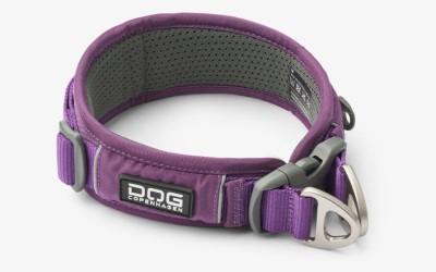 Dog Copenhagen V3 Explorer Collar Hundehalsband, purple passion