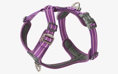 Dog Copenhagen V3 Walk Harness (Air) Purple Passion