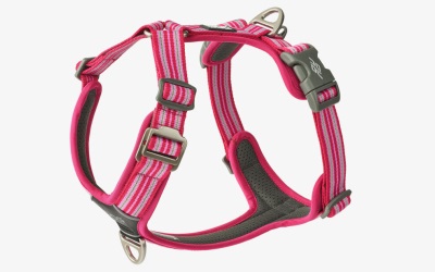 Dog Copenhagen V3 Walk Harness (Air) Wild Rose